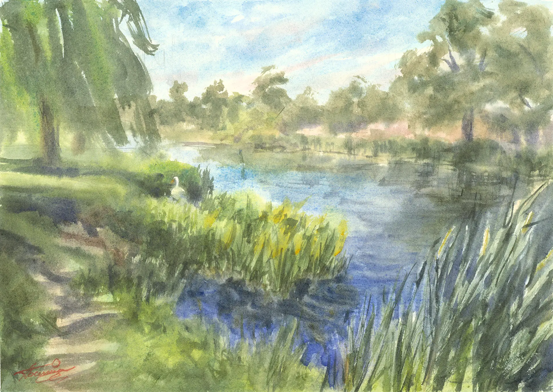 Royal Parks